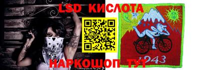 гашик Краснознаменск