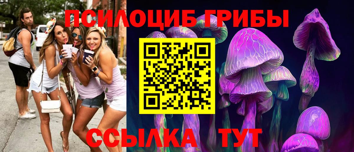 Галлюциногенные грибы Magic Shrooms  Вход с VPN  Керчь 