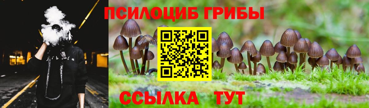 Галлюциногенные грибы прущие грибы Керчь